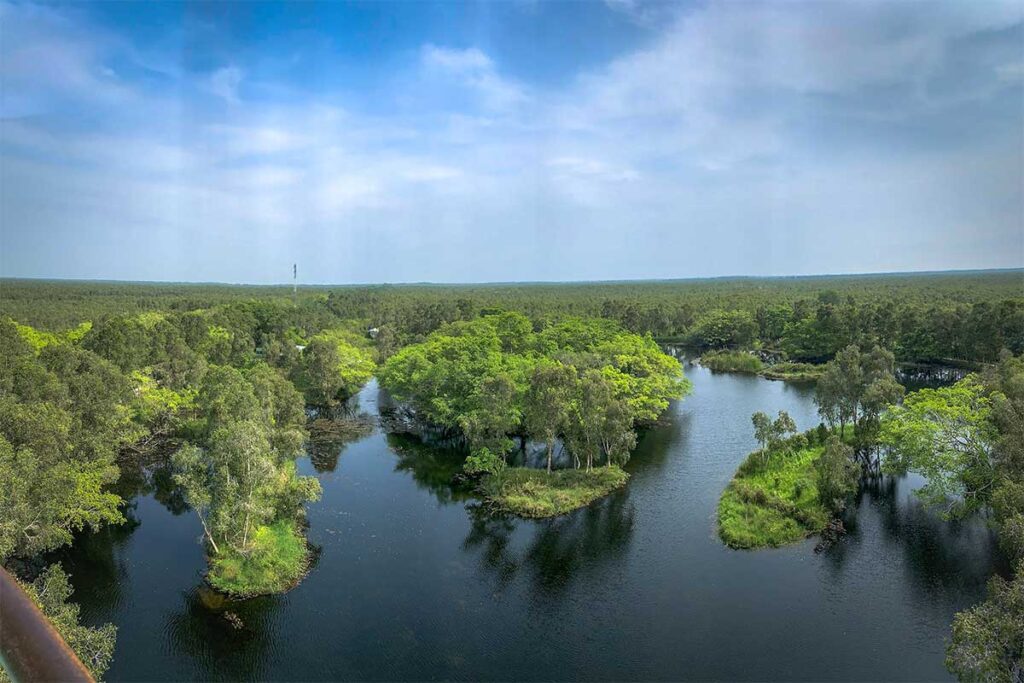 Panoramic view of Hoa Mai Lake and surrounding melaleuca forest at U Minh Thuong National Park.