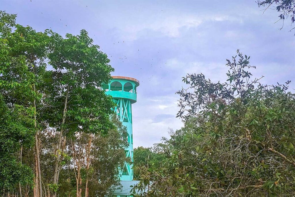 Green observation tower rising above the trees at U Minh Thuong National Park in Kien Giang Province.