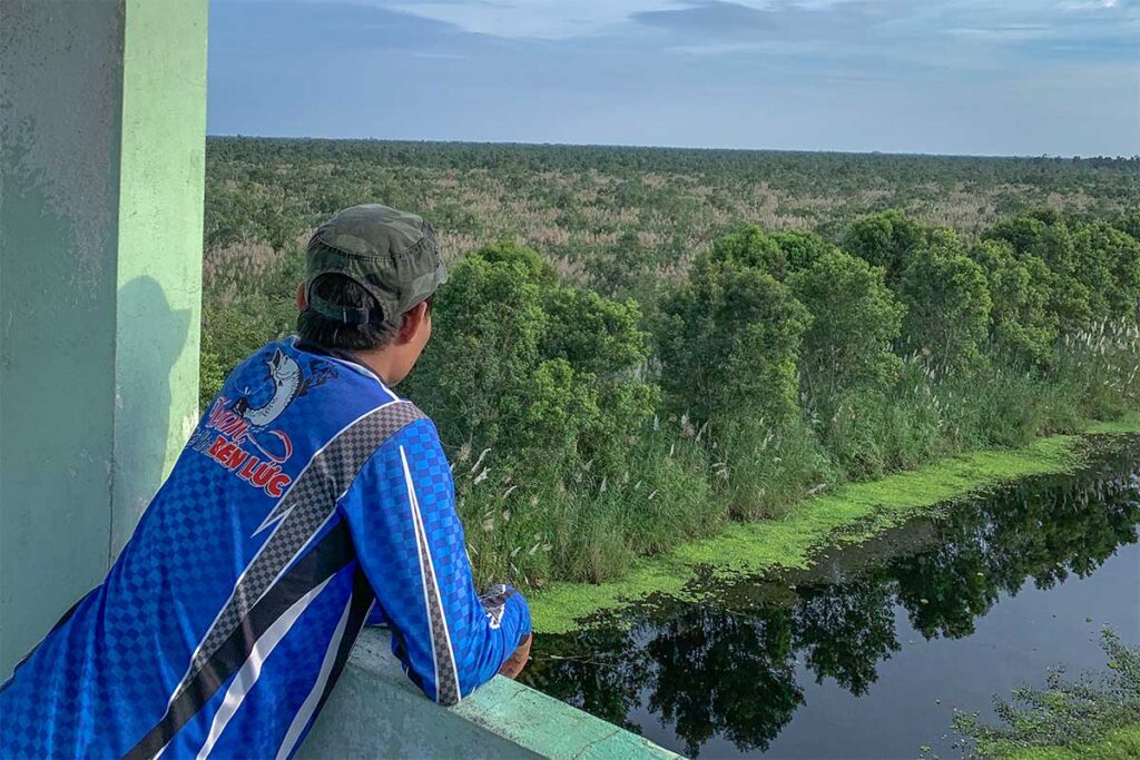 Visitor looking out from the observation tower at U Minh Thuong National Park over the vast melaleuca forest and canals.