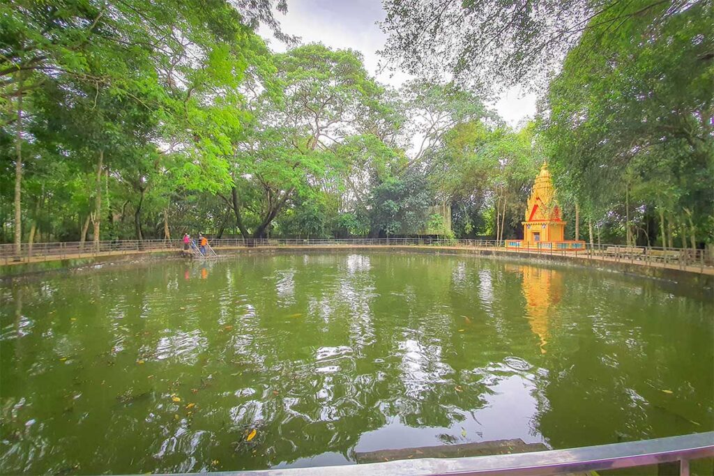 Pond inside Bat Pagoda (Chùa Dơi) in Soc Trang with a golden Khmer stupa reflected in the water, surrounded by tall ancient trees.