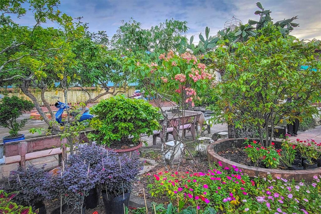 Colorful flower garden with potted plants and shaded seating area at Binh Thuy Ancient House in Can Tho.