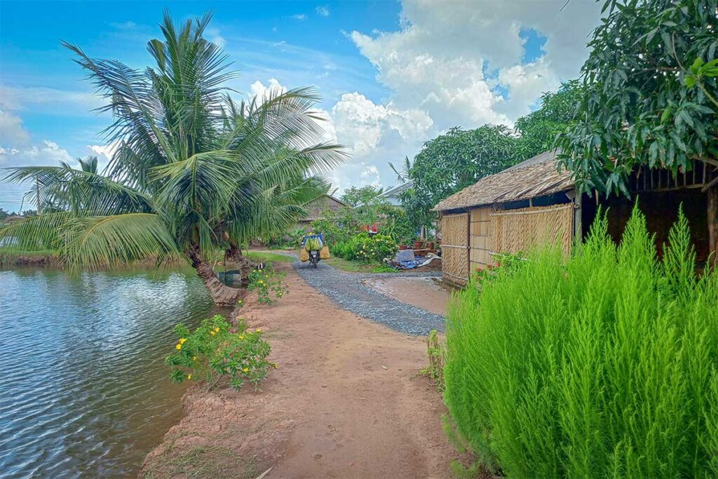 Path along coconut trees and stilted huts on Con Chim Island in Tra Vinh, Vietnam, with canals and lush tropical greenery