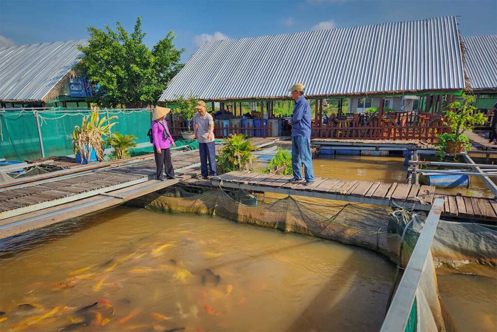 Visitors talking with locals at koi fish rafts on Con Son Islet, learning about aquaculture in the Mekong Delta