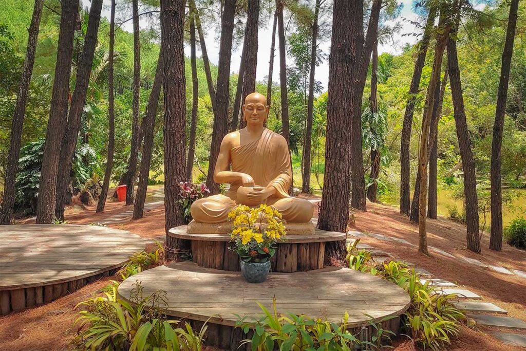 Seated Buddha statue under tall pine trees at Huyen Khong Son Thuong Pagoda, symbolizing meditation and tranquility in Hue’s countryside.