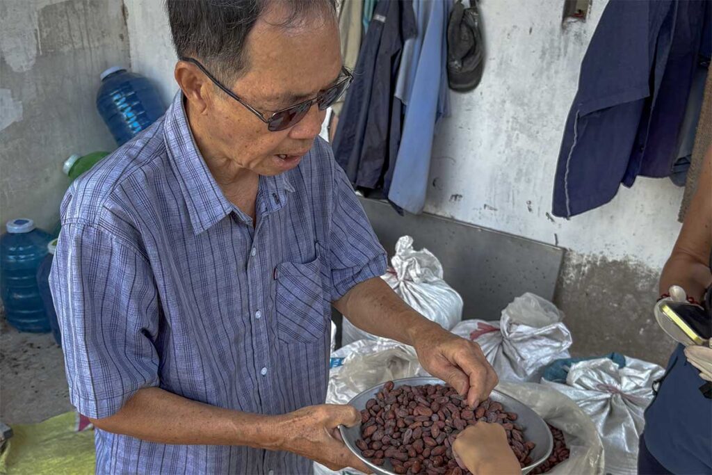 Explaining dried cacao beans to visitors at Muoi Cuong Cacao Farm in Can Tho