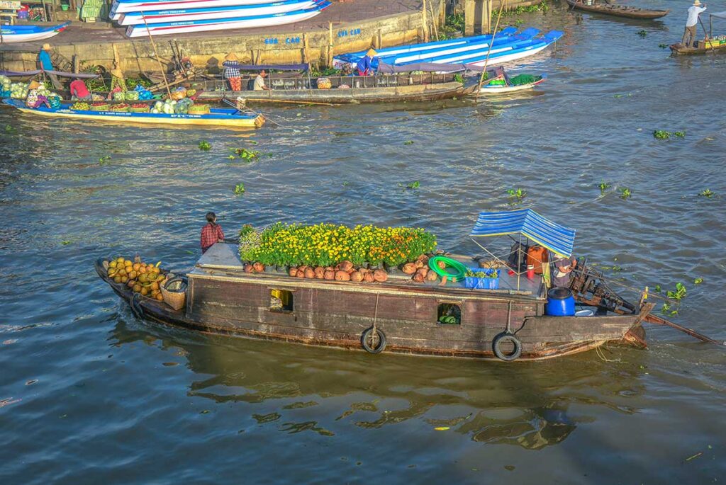 Boat loaded with coconuts and yellow flowers at Nga Nam Floating Market, a traditional trading hub in the Mekong Delta.