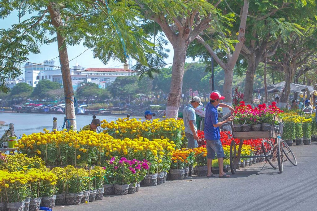 Tet flower market by the river in Long Xuyen – Colorful marigolds and chrysanthemums sold along the riverside during Tet holiday.