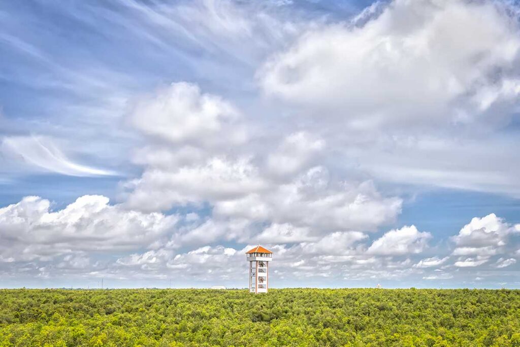 38-meter observation tower rising over the cajuput canopy at Tan Lap Floating Village, Vietnam