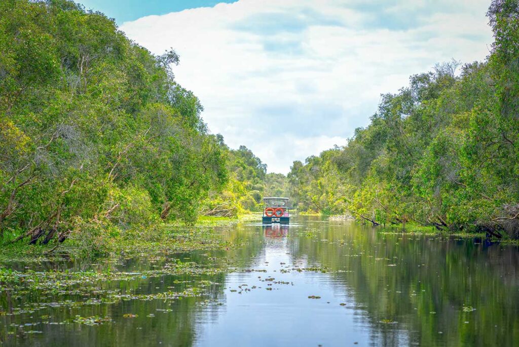 Motorboat cruising a lily-dotted waterway in the melaleuca forest at Tan Lap Floating Village