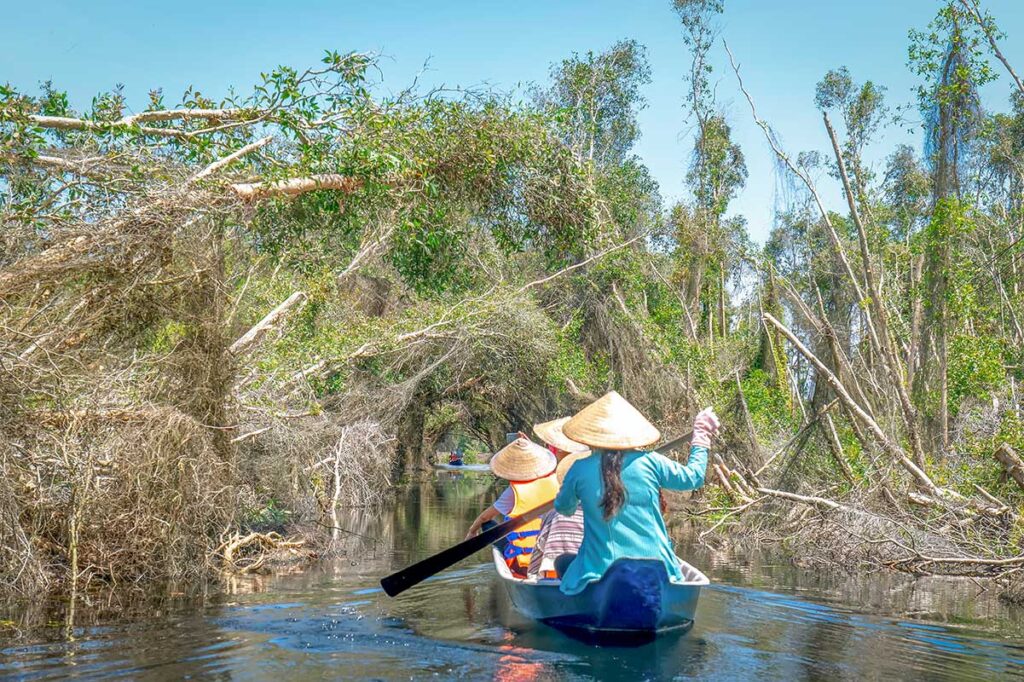 Sampan rowing through a narrow canal with fallen cajuput branches at Tan Lap Floating Village
