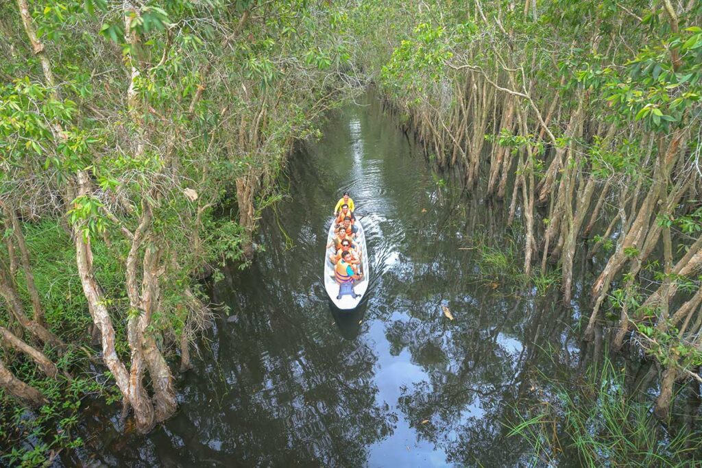 Rowboat tour along a shaded melaleuca canal at Tan Lap Floating Village, Long An Vietnam