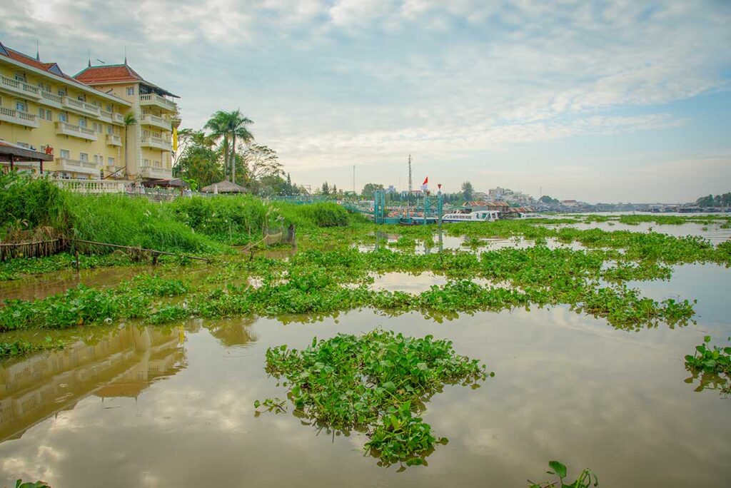 View of Victoria Chau Doc Hotel by the Hau River with floating vegetation and moored speedboats at the pier.