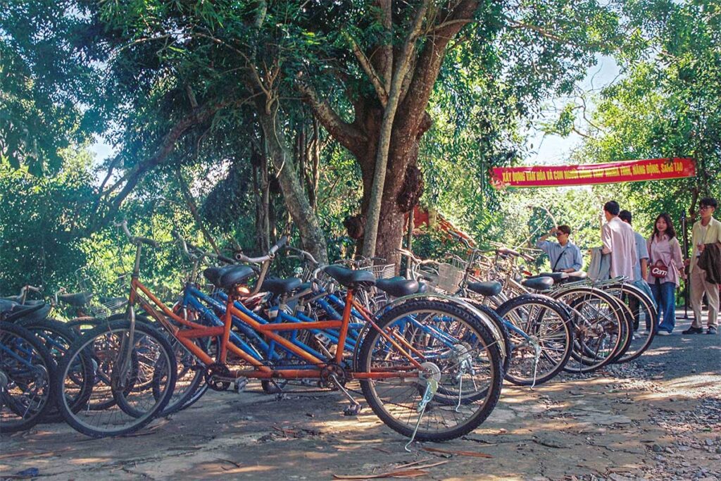 Bicycles for rent at Xeo Quyt Forest – Row of tandem and single bikes available for visitors under shaded trees.