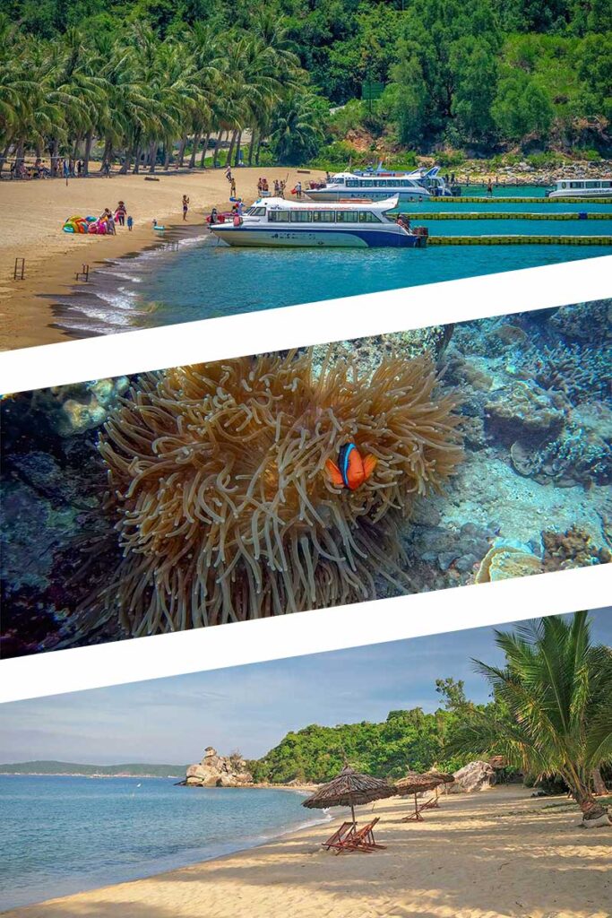 Cham Island speedboat tour