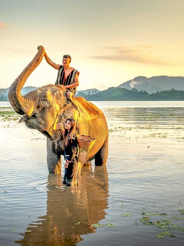 Authentic Dak Lak tours by Local Vietnam | elephant bathing with local people in the Central Highlands of Vietnam