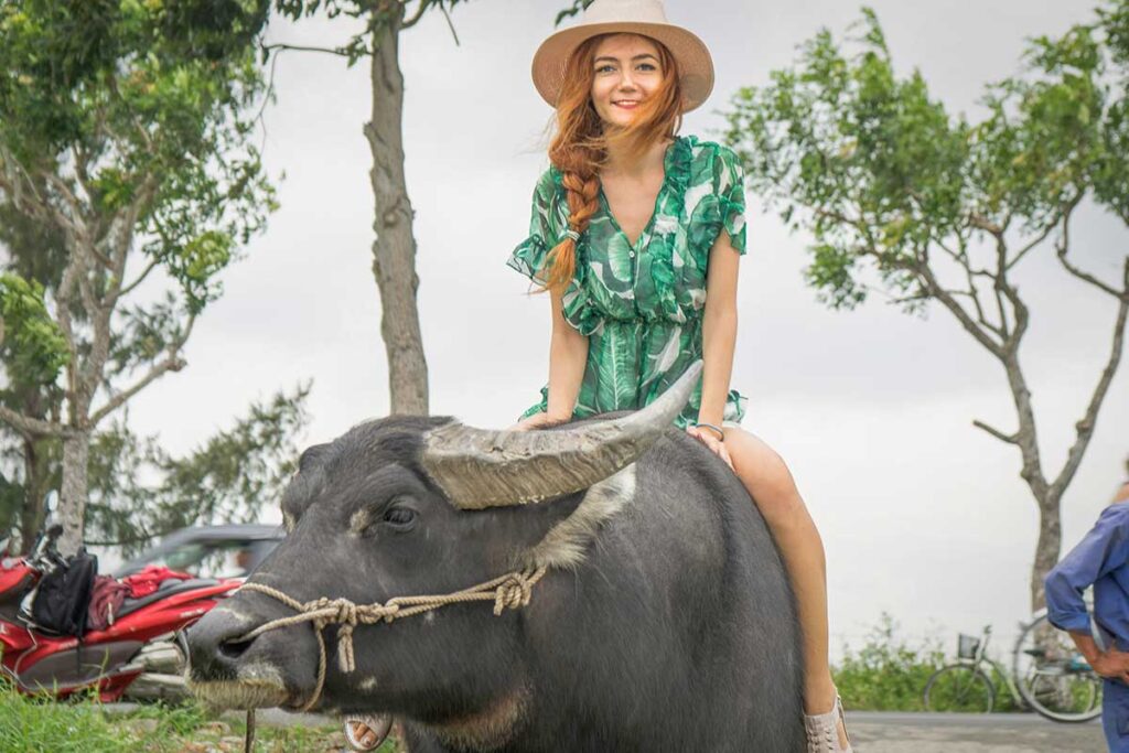Tourist riding a water buffalo in the Hoi An countryside