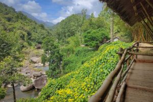 Riverside view with bamboo huts and yellow wildflowers in the green valley of Hon Ba Nature Reserve.
