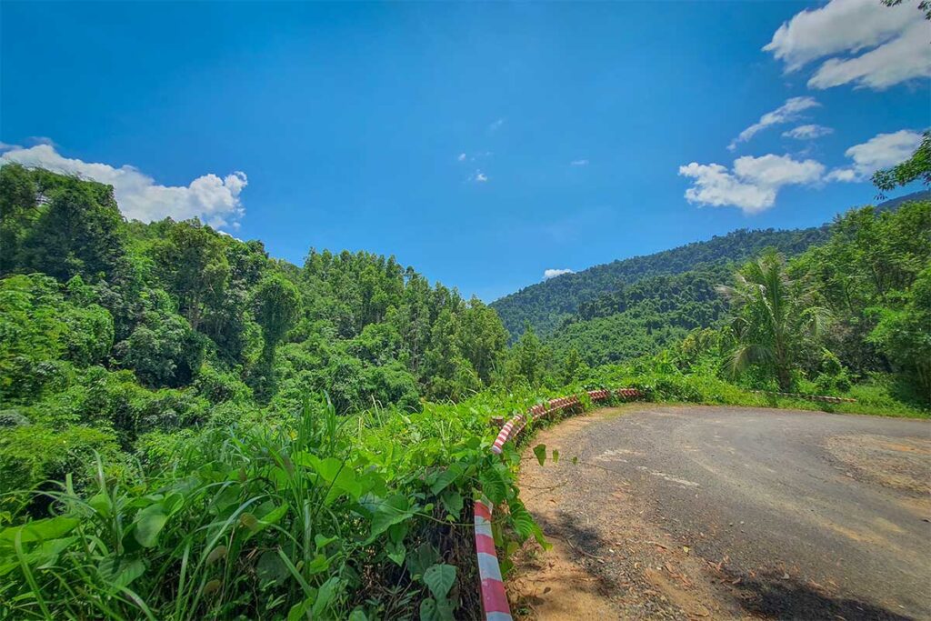 Mountain road bending through dense jungle in Hon Ba Nature Reserve under bright blue skies.