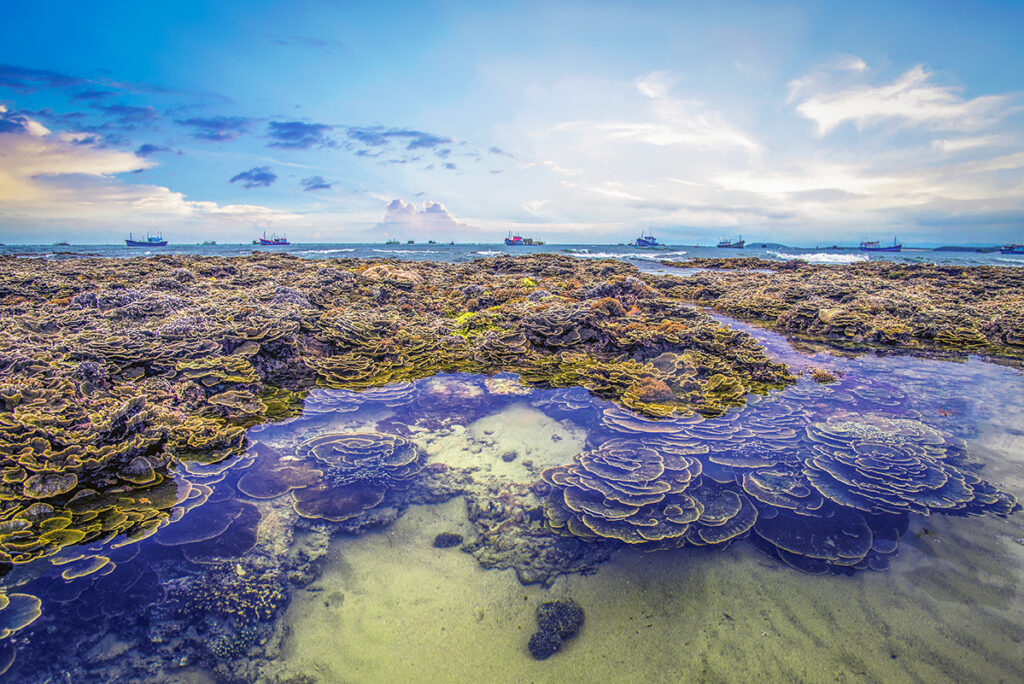 Exposed coral reef at Hon Yen, Phu Yen, revealed at low tide with layered coral formations and fishing boats on the horizon.