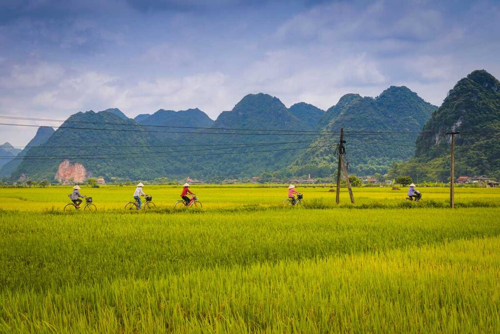 Lang Son tours – Local Vietnam | local people cycling through rice fields with karst mountains in Bac Son Valley, northern Vietnam