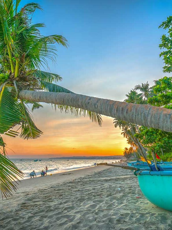 Mui Ne tours – Local Vietnam | coconut palm and round fishing boats on the sandy beach at sunset in Mui Ne, Vietnam