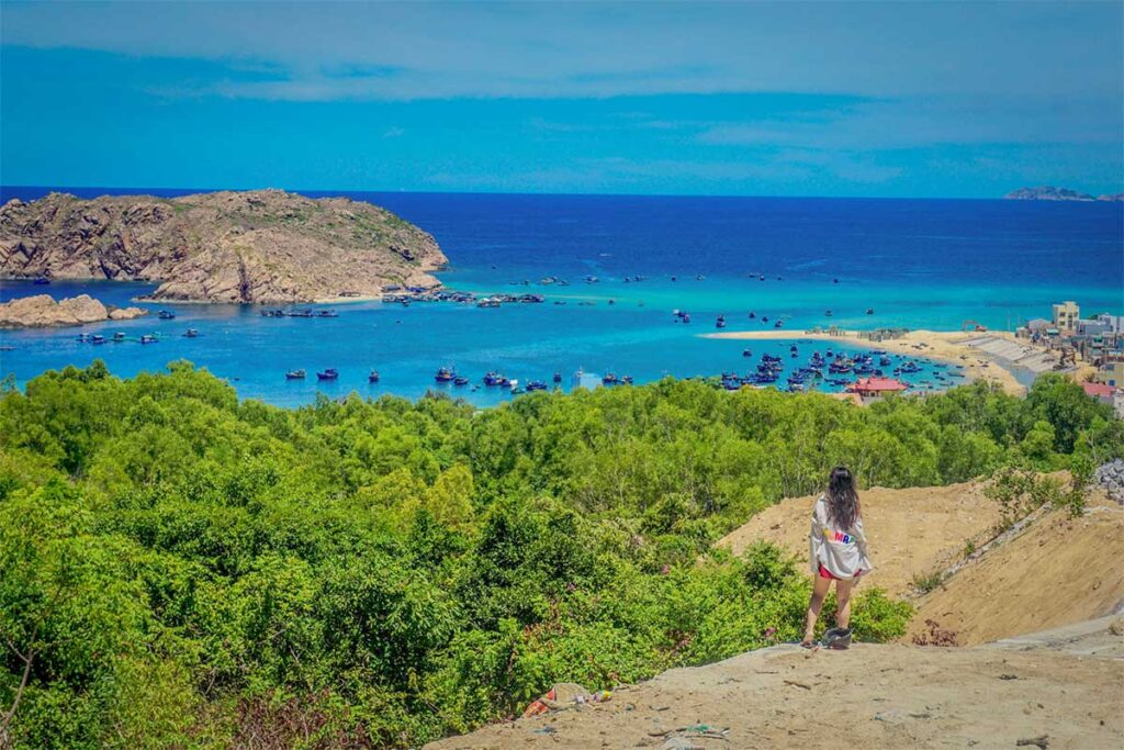 Nhơn Hải viewpoint with turquoise sea and fishing boats – Scenic panorama from the hills above Nhơn Hải village overlooking the bay dotted with fishing boats and rocky islets.