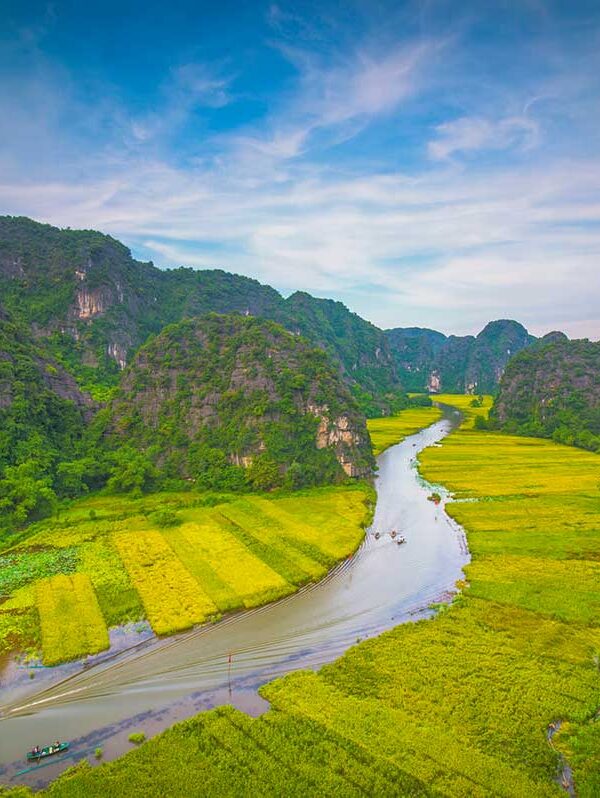 Ninh Binh Vietnam – Local Vietnam tours | aerial view of Tam Coc river winding through rice fields and karst mountains