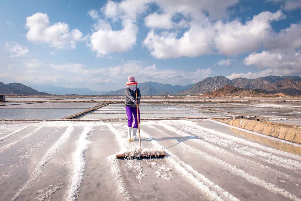 Worker harvesting sea salt at Khanh Nhon salt fields near Ninh Chu Beach, with mountains in the background.