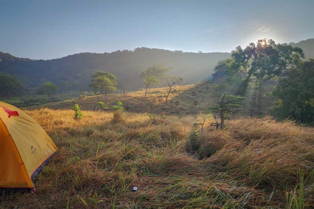Camping spot at sunrise in Nui Chua National Park – yellow tent in grassy hills with soft morning light filtering through the trees.