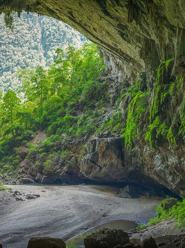 Phong Nha Vietnam – Local Vietnam tours | entrance of a large cave with jungle and limestone cliffs in Phong Nha-Ke Bang National Park