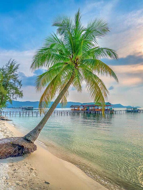 Phu Quoc tours – Local Vietnam | palm trees and overwater bungalows along a white sandy beach in Phu Quoc Island, Vietnam