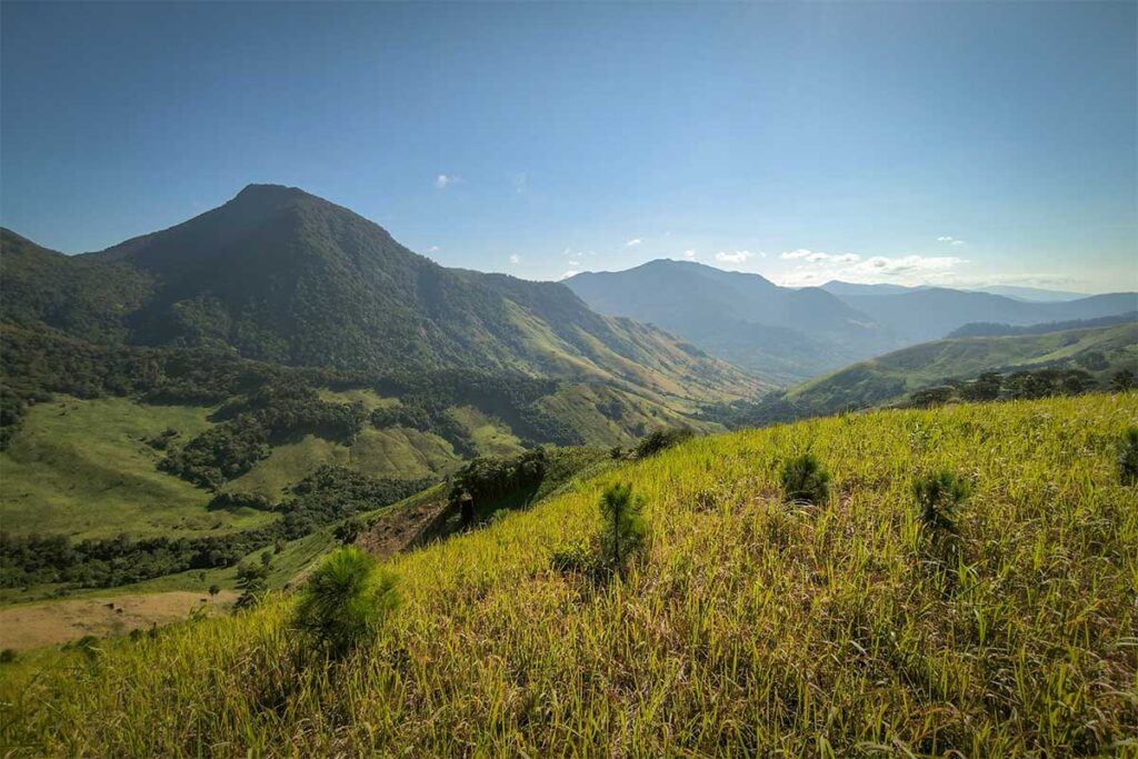 Grassy hills in Phuoc Binh – Rolling green hills and mountain slopes in Ninh Thuan’s Phuoc Binh National Park.
