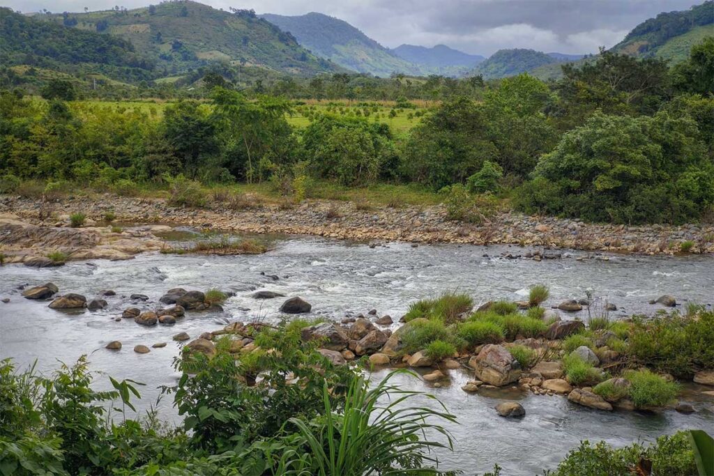 River in Phuoc Binh National Park – Rocky stream flowing through lush greenery in the mountains of Bac Ai District.