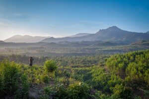 Highland viewpoint in Phuoc Binh – Wide panorama of forested valleys and rugged mountains in Ninh Thuan’s Phuoc Binh.