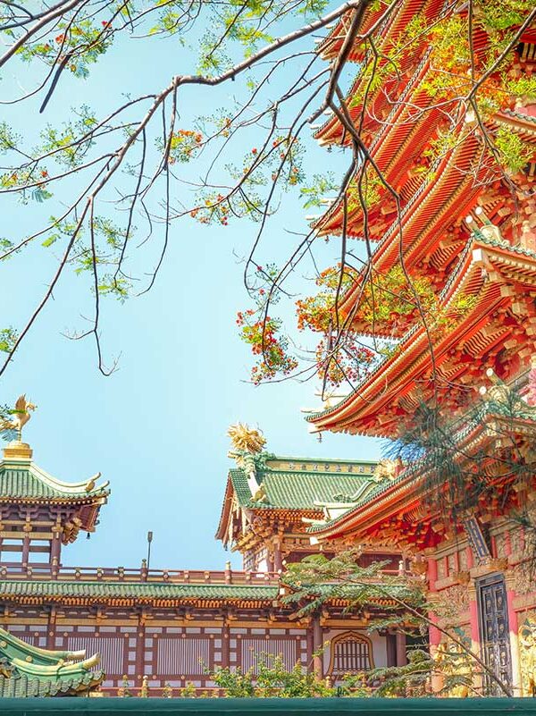 Pleiku Vietnam – Local Vietnam tours | colorful pagoda and temple architecture under flowering trees in Pleiku city