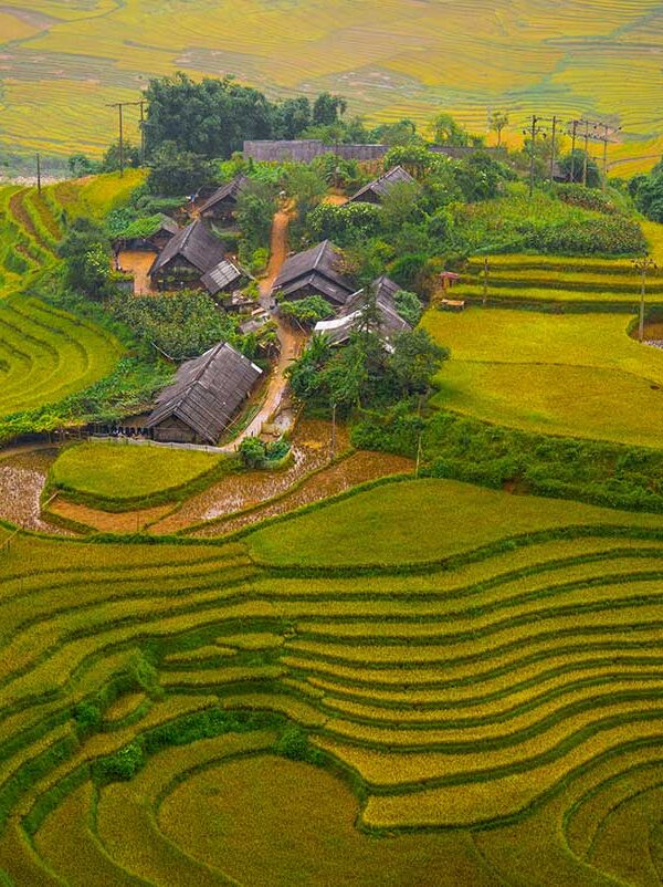 Sapa Vietnam – Local Vietnam tours | traditional village surrounded by golden rice terraces during harvest season in Sapa