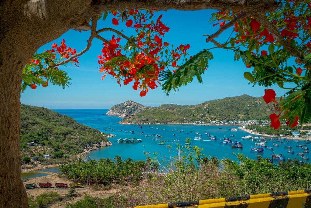 DT702 coastal road viewpoint near Vinh Hy Bay – Sweeping ocean views from the winding mountain road, one of Vietnam’s most photogenic coastal drives.