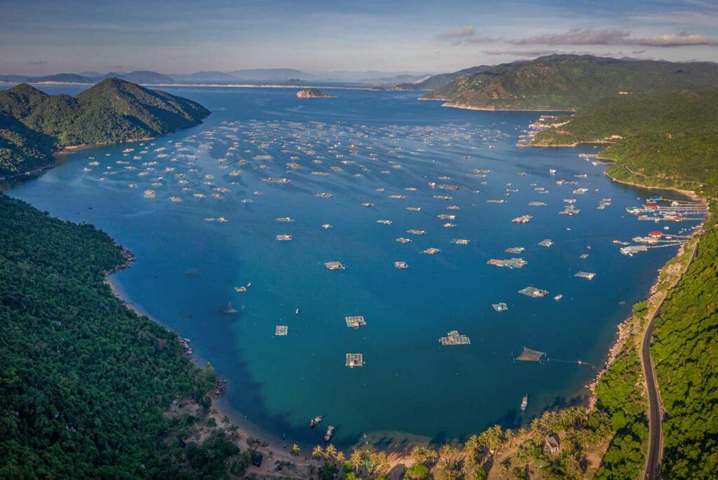 Aerial view of Vung Ro Bay in Phu Yen, Vietnam, with hundreds of floating fish farms scattered across the turquoise water and green mountains lining the coast.