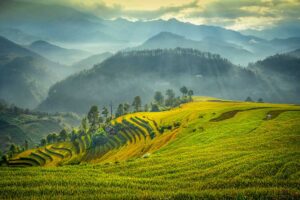 Golden rice terraces stretching across the mountain valleys of northern Vietnam — featured in our 14-day Vietnam tour and 2-week Vietnam itinerary from south to north.