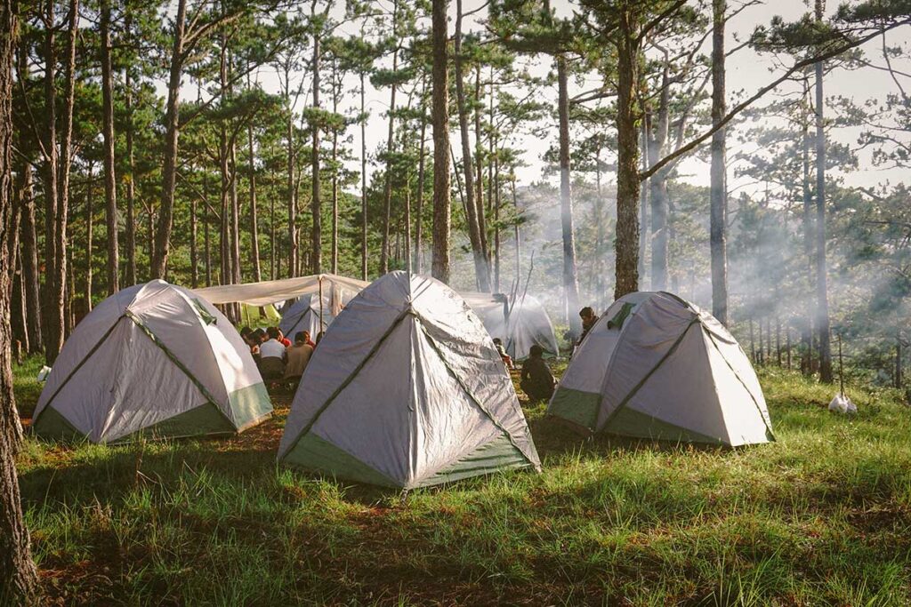 Bidoup National Park tours with camping tents set up among tall pine trees in the highlands