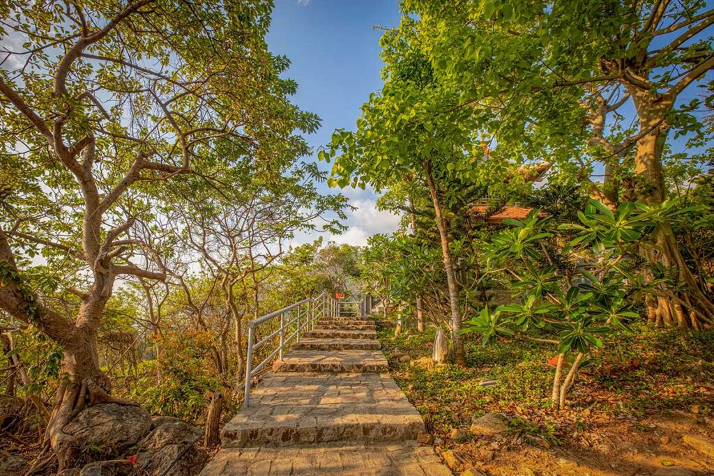 Con Dao National Park tours with a stone pathway winding through lush forest scenery