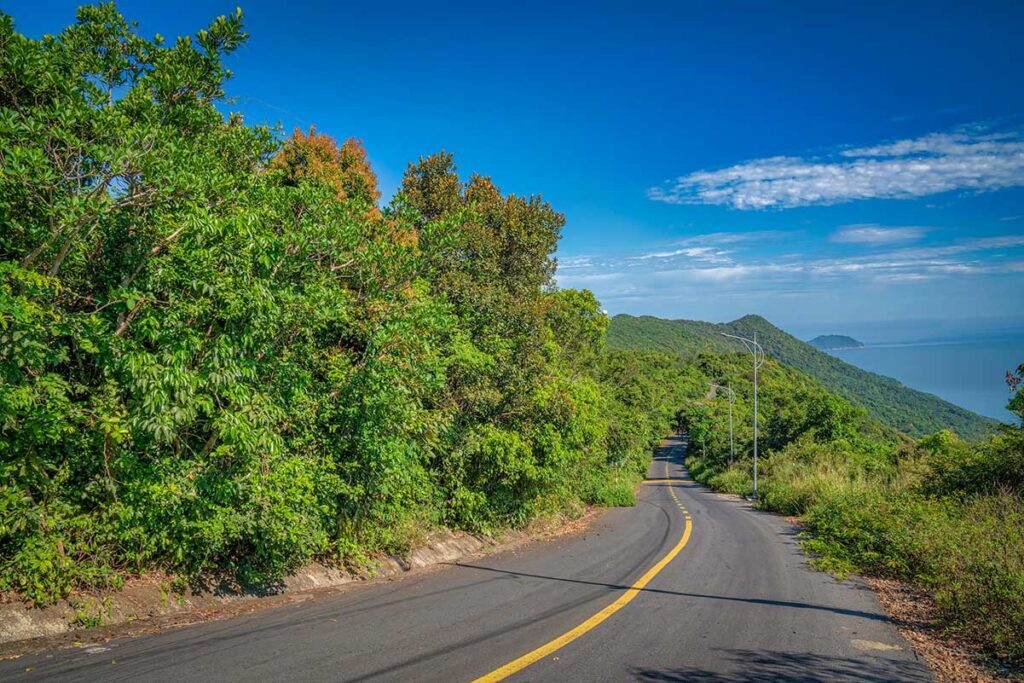 Winding road through lush forest on Son Tra Peninsula near Da Nang, a favorite route for private sightseeing by car hire Vietnam travelers.