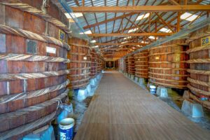 Wide view of a Phu Quoc fish sauce factory production hall, showing dozens of large numbered wooden barrels lined up on both sides