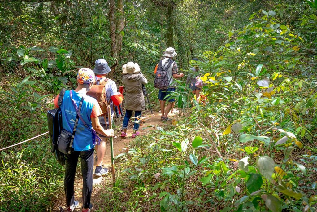 Kon Chu Tang Nature Reserve tours with hikers exploring a dense forest trail