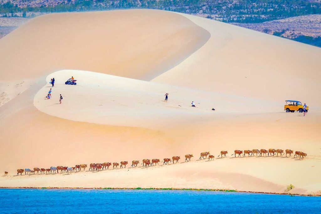 Mui Ne tours with towering white sand dunes overlooking a bright blue lake and desert activities