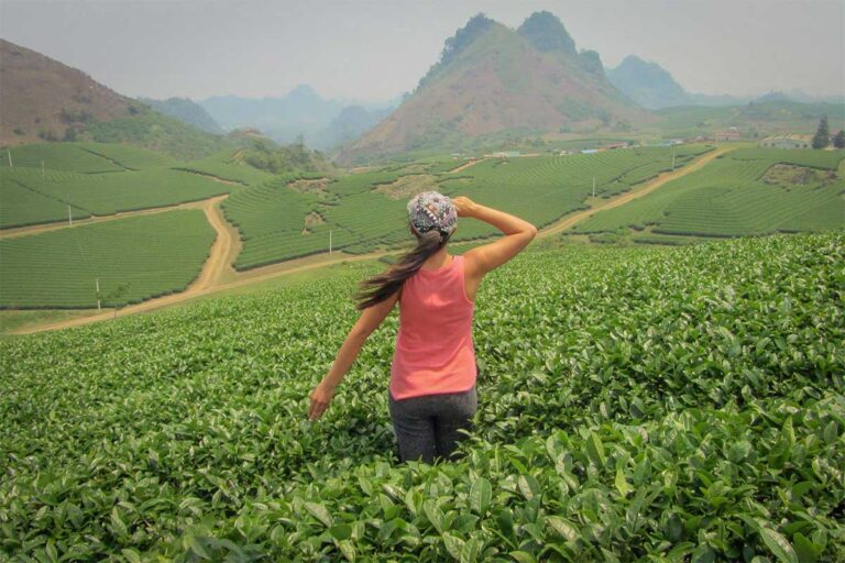 Nhung Phung, co-founder of Local Vietnam, walking through the tea plantations of Moc Chau Plateau — one of her favorite highland destinations for its peaceful scenery and local culture.