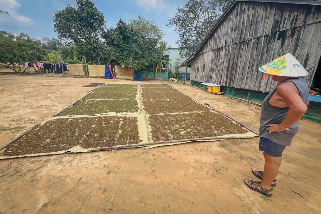 Peppercorns drying in the sun on mats at Vuon Tieu Hai Duong pepper farm in Phu Quoc