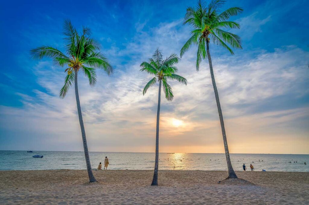 Phu Quoc tours featuring a sunset beach with tall palm trees and calm ocean waves
