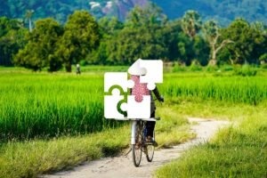 Private Mekong Delta tour with a custom itinerary, cycling through rice fields and exploring quiet rural waterways.