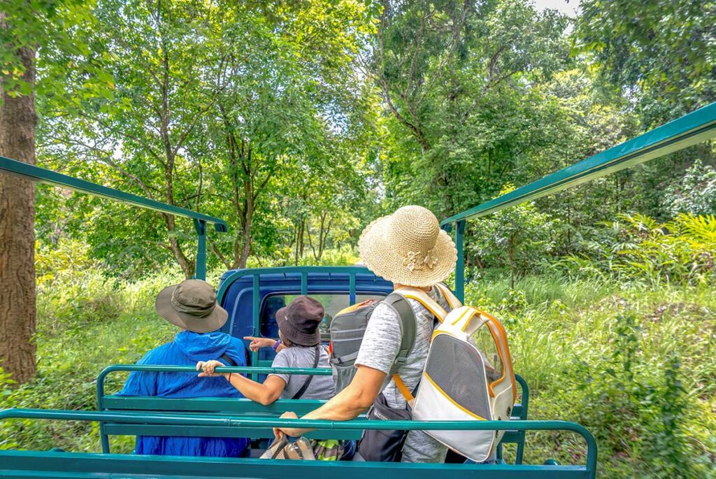 Travelers exploring lush jungle in Cat Tien National Park on a Southern Vietnam tour focused on nature and wildlife